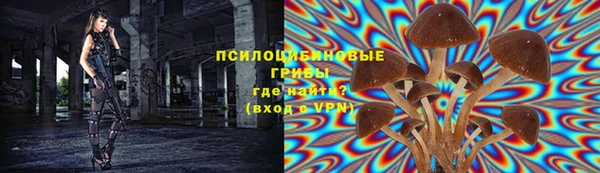 соль ск Алзамай