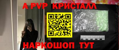 спайс Аргун