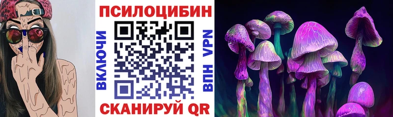 Псилоцибиновые грибы мухоморы  где можно купить   Большой Камень 