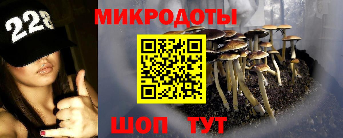 Большой Камень  Галлюциногенные грибы GOLDEN TEACHER  Вход с VPN 